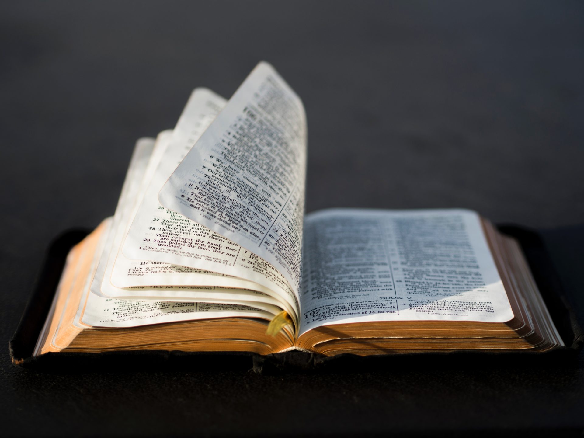 What I Have Learned from the Persecuted Church