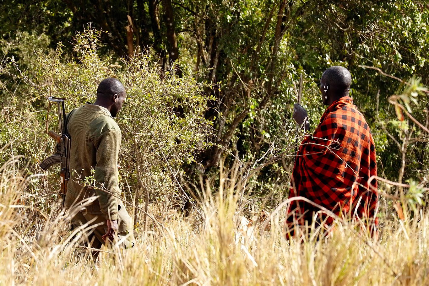 50+ Tied Up, Executed in Central African Republic Massacres