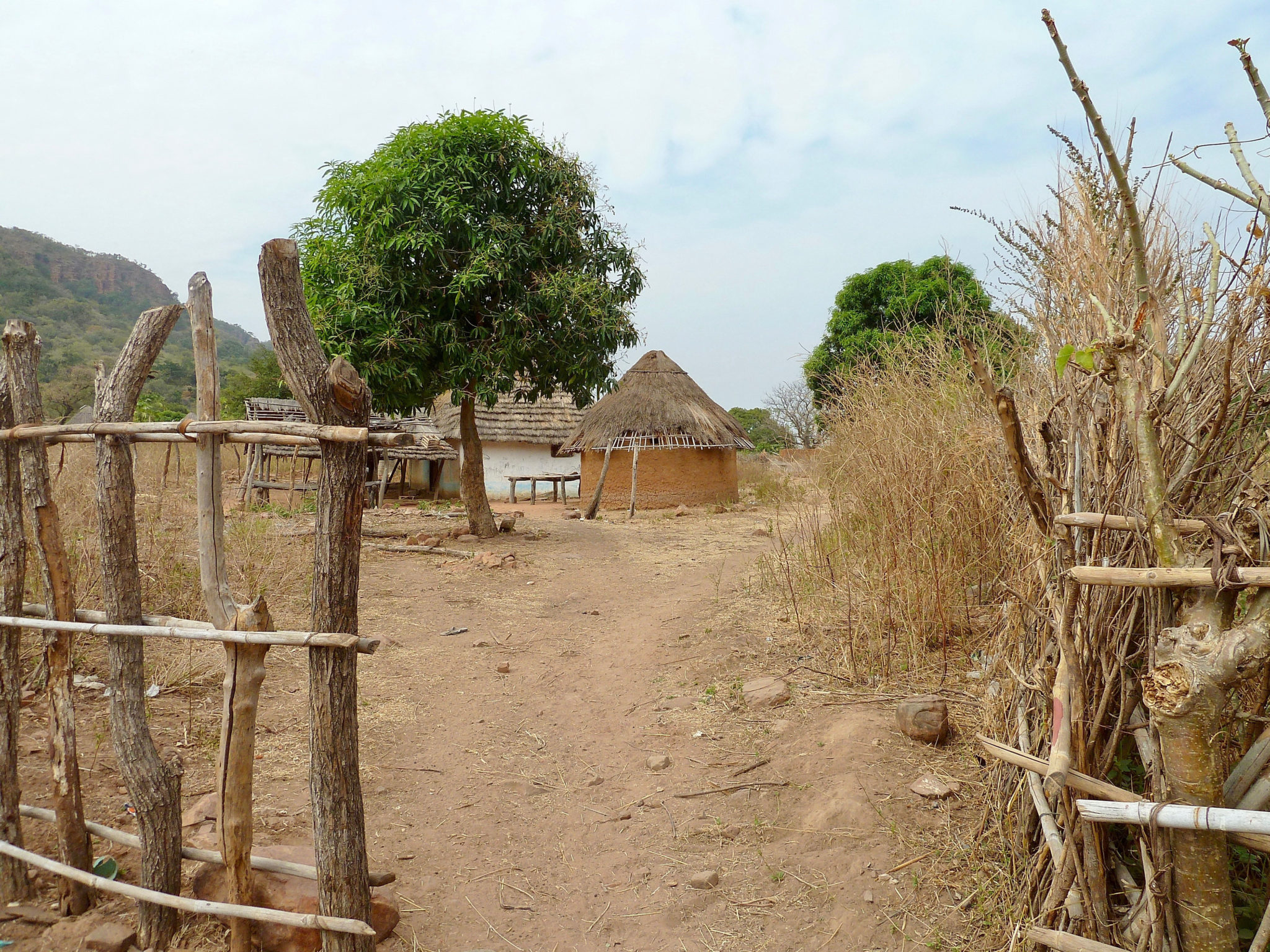 Nigerian pastor’s family shattered by violence—please pray