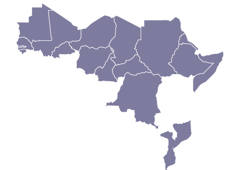 Sub-Saharan Africa