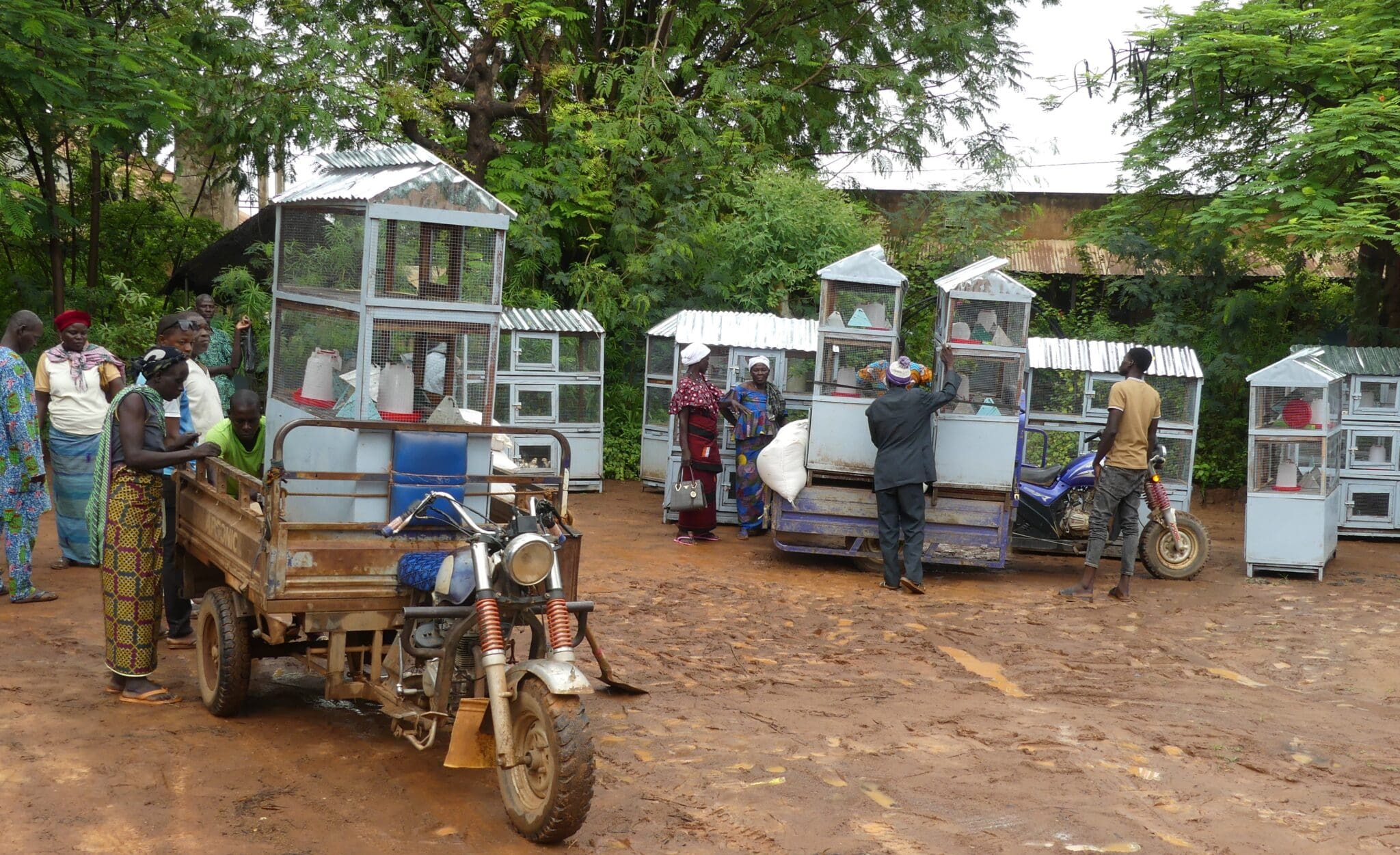 Pastors in Burkina Faso receive chicken coops for small business